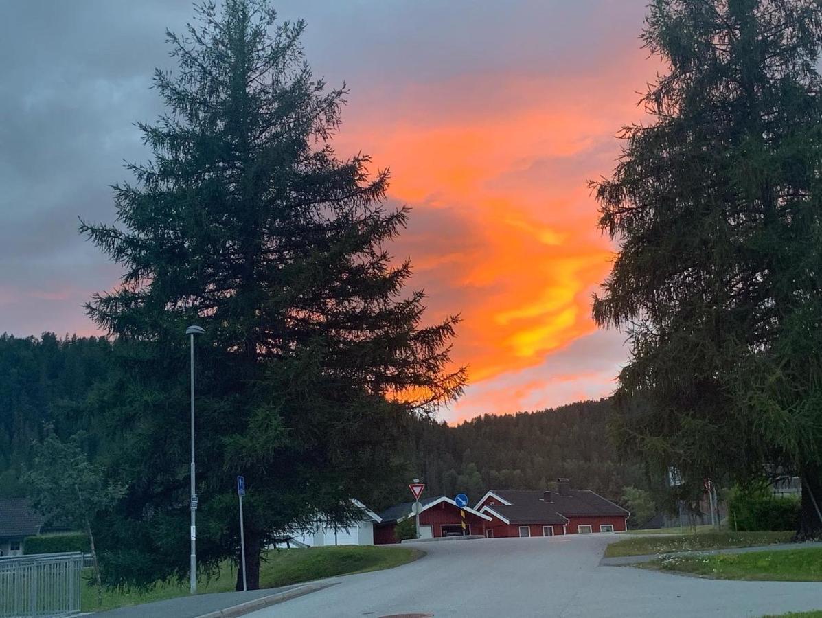 Sleep Well 2 Lägenhet Kongsberg Exteriör bild
